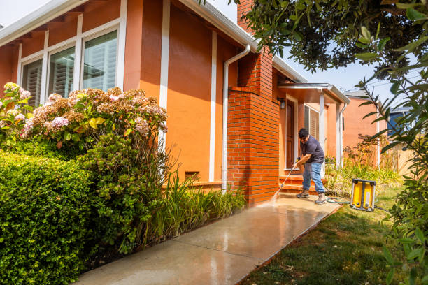 Best Roof Pressure Washing  in East Bangor, PA
